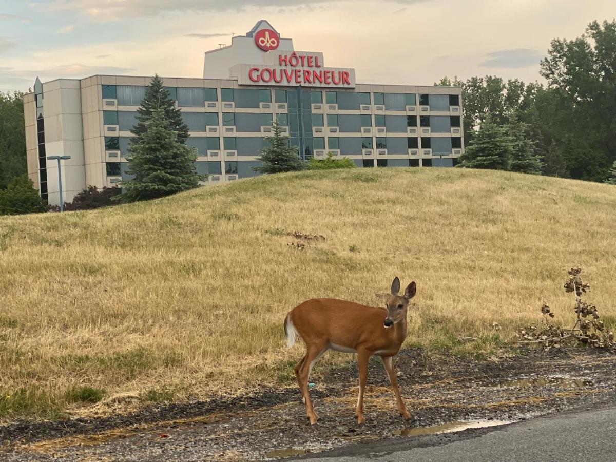 Hotels Gouverneur Montreal - Ile Charron Longueuil Buitenkant foto